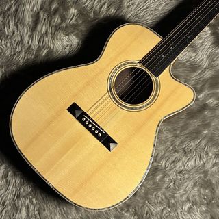 アコースティックギター ＞ フラットトップの検索結果【楽器検索