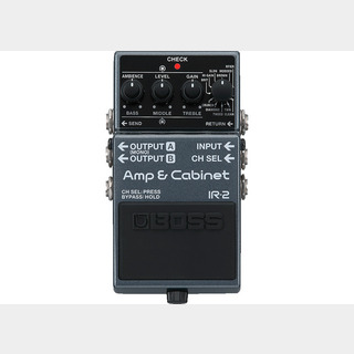 BOSS IR-2 Amp & Cabinet