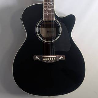 Ibanez AC391RCE エレアコギター
