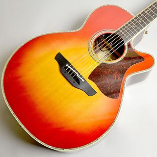 Takamine DMP500　Custom