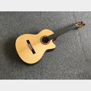 SHELLYの検索結果【楽器検索デジマート】