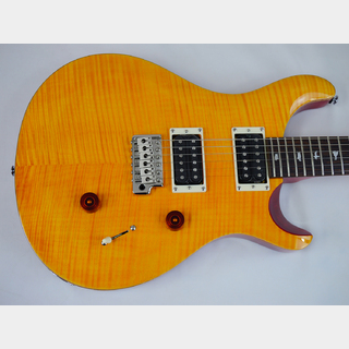 Paul Reed Smith(PRS) SE Custom 24 (Vintage Yellow)