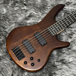 Ibanez GSR205B-WNF (Walnut Flat) 【パワフルな2ハム仕様のアクティブベース】ソフトケース付き