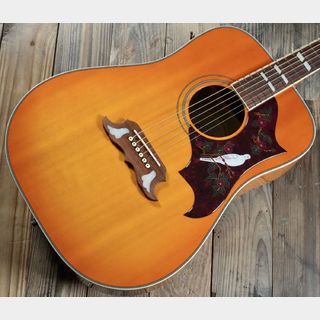 Epiphone Dove PRO【現品画像】