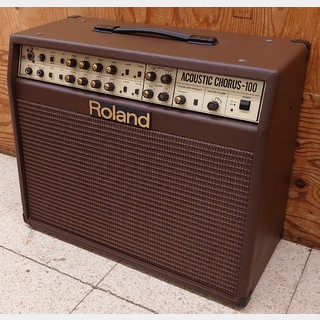 Roland AC-100 Acoustic Chorus Guitar Amp