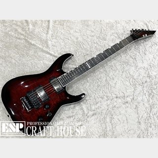 E-II HORIZON FR-II / See Thru Black Cherry Sunburst