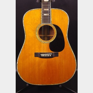 Martin D-45