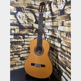 Juan Hernandezの検索結果【楽器検索デジマート】