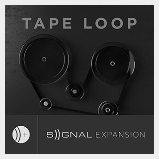 output TAPE LOOP - SIGNAL EXPANSION