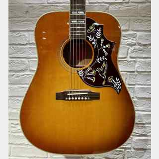 Gibson、Hummingbird Specialの検索結果【楽器検索デジマート】