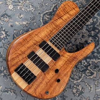 ベース、Foderaの検索結果【楽器検索デジマート】