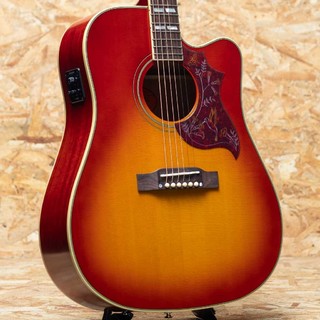 アコースティックギター ＞ フラットトップ、マホガニー・トップ OR