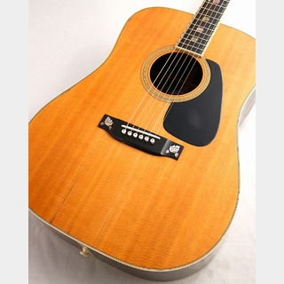 アコースティックギター／エレクトリック・アコースティックギター