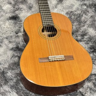 クラシック・ギター／フラメンコ・ギター【楽器検索デジマート】