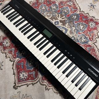 Roland GO-61P