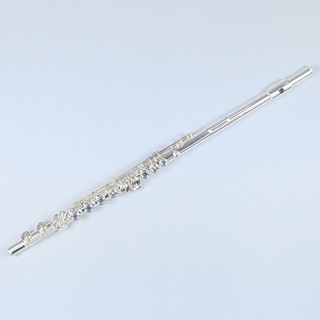 Altus A1007E【技術スタッフ常駐店 / 当店技術スタッフ調整済】【管楽器購入後サポート付】【現物画像】