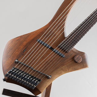 Sankey Guitars Singularity