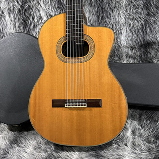 Takamine NPT315