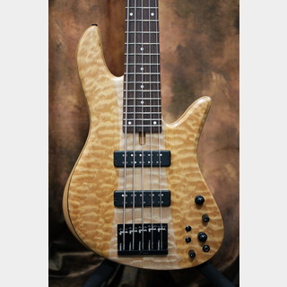 Fodera Emperor 5 Standard Special Quilted Maple