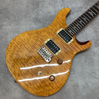 Paul Reed Smith(PRS) SE CUSTOM 24 Flat Top