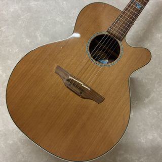アコースティックギター／エレクトリック・アコースティックギター