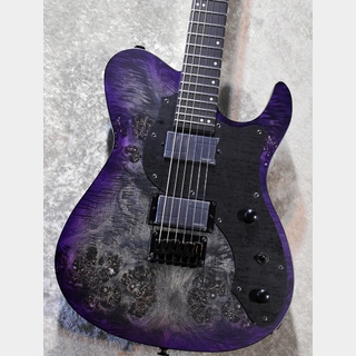 エレキギター、FUJIGEN(FGN)の検索結果【楽器検索デジマート】