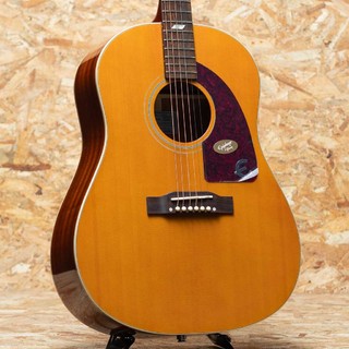 Epiphone、Masterbilt Texanの検索結果【楽器検索デジマート】