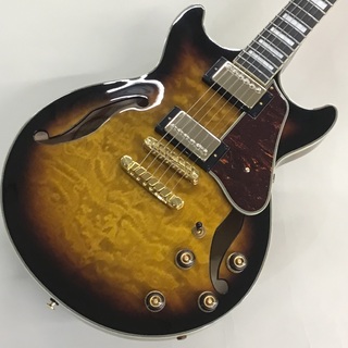 IbanezAM93QM