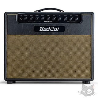 Bad Cat BLACK CAT 1x12 Combo