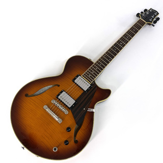 Sadowsky Archtop Series Semi-Hollow Model