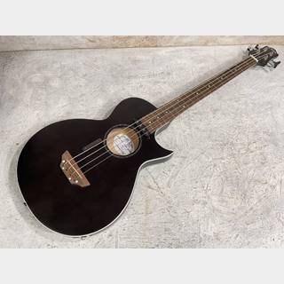 アコースティック・ベース／エレアコ・ベース ＞ 一般の検索結果【楽器