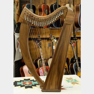 Stoney Endの検索結果【楽器検索デジマート】
