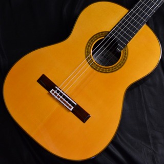 桜井 河野 Professional-SR/640