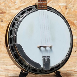 バンジョー／ラップスティールの検索結果【楽器検索デジマート】