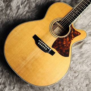 Takamine DMP50S NAT エレアコギター セミハードケース付属【島村楽器 x Takamine コラボモデル】