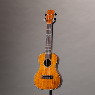 DCTの検索結果【楽器検索デジマート】