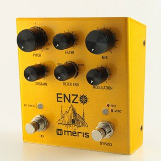 meris EZO-DST Enzo Pedal 【御茶ノ水本店】