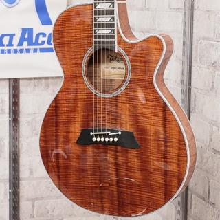 エレクトリック・アコースティックギター、Takamineの検索結果【楽器