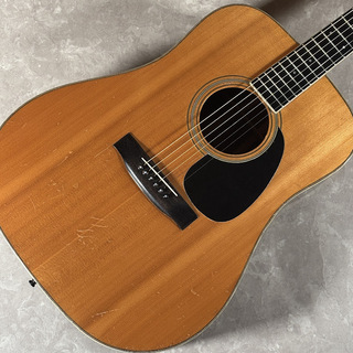 アコースティックギター／エレクトリック・アコースティックギター