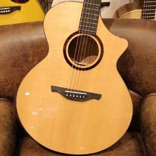 アコースティックギター／エレクトリック・アコースティックギター