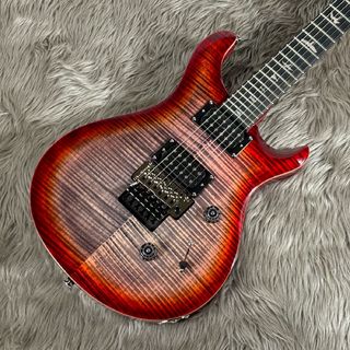 Paul Reed Smith(PRS) SE CUSTOM 24 FLOYD 【現物画像】【S/N:CTI G054413】【重量:3.78kg】