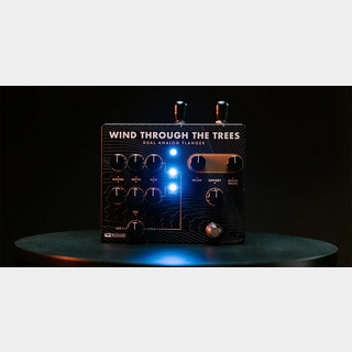 Paul Reed Smith(PRS)、Wind Through The Treesの検索結果【楽器