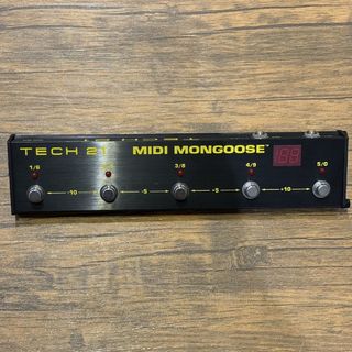 TECH21 MMG1 MIDI MONGOOSE【現物画像】