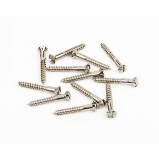 Fender Fender Pure Vintage Slotted Telecaster Bridge/Strap Button Mounting Screws Nickel (12) ネジ 12個入