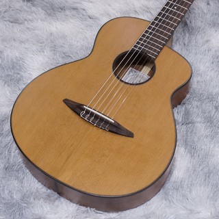 aNueNue aNN-N520 / AC(Autumn Cedar)