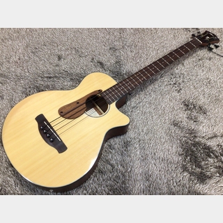 アコースティック・ベース／エレアコ・ベースの検索結果【楽器検索