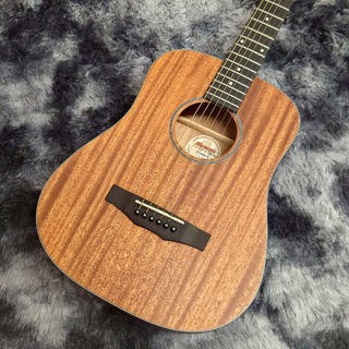 アコースティックギター／エレクトリック・アコースティックギター