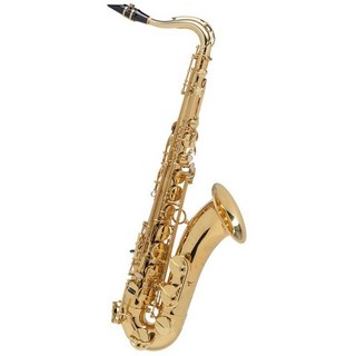 Selmer Paris【中村誠一氏選定品】テナーサックス　セルマー AXOS（アクソス）