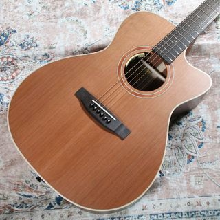 Lakewoodの検索結果【楽器検索デジマート】