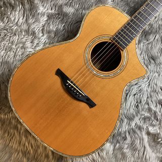 アコースティックギター／エレクトリック・アコースティックギター